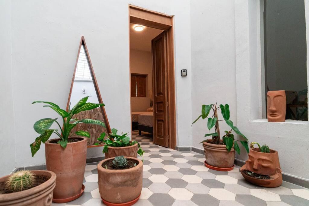 Casa Del Desierto Vila Guadalajara Exterior foto